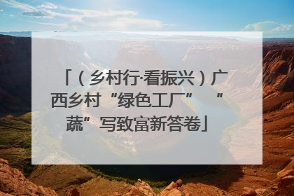 （乡村行·看振兴）广西乡村“绿色工厂” “蔬”写致富新答卷