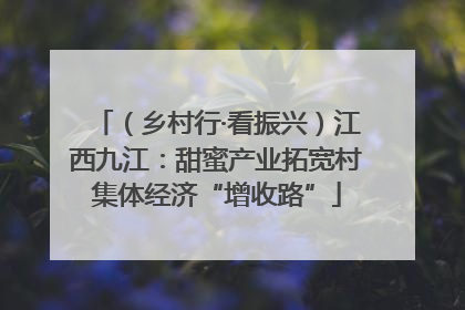 （乡村行·看振兴）江西九江：甜蜜产业拓宽村集体经济“增收路”