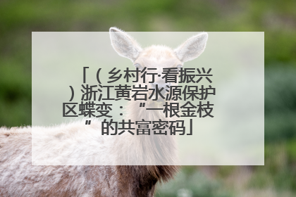 （乡村行·看振兴）浙江黄岩水源保护区蝶变：“一根金枝”的共富密码