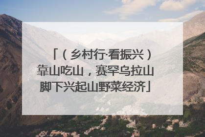 （乡村行·看振兴）靠山吃山，赛罕乌拉山脚下兴起山野菜经济