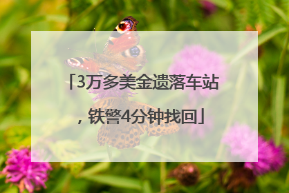 3万多美金遗落车站，铁警4分钟找回