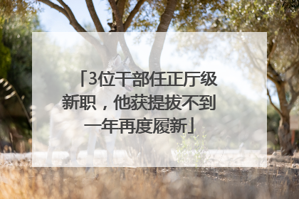 3位干部任正厅级新职,他获提拔不到一年再度履新