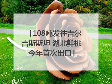 108吨发往吉尔吉斯斯坦 湖北鲜桃今年首次出口