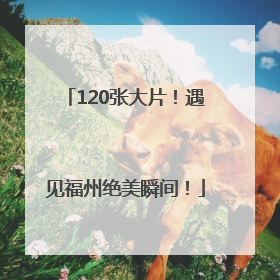 120张大片！遇见福州绝美瞬间！
