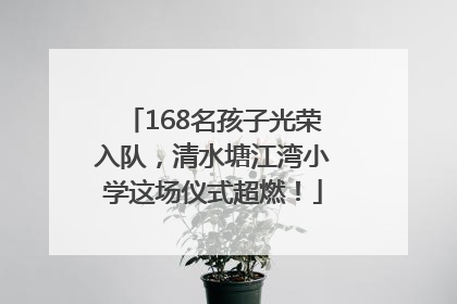 168名孩子光荣入队，清水塘江湾小学这场仪式超燃！