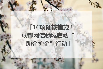 16项硬核措施！成都网信领域启动“助企护企”行动