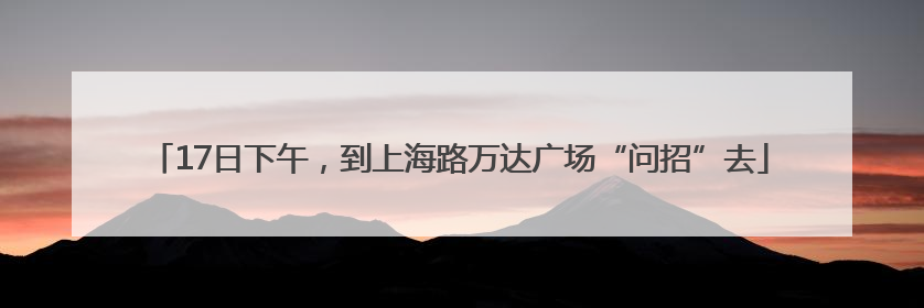 17日下午，到上海路万达广场“问招”去