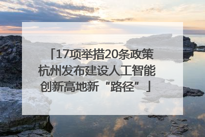 17项举措20条政策 杭州发布建设人工智能创新高地新“路径”
