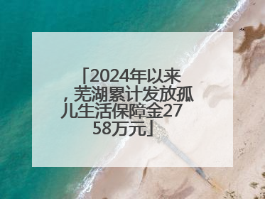 2024年以来，芜湖累计发放孤儿生活保障金2758万元