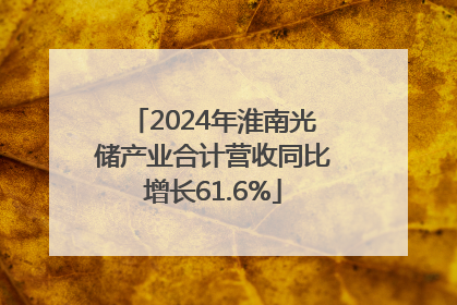 2024年淮南光储产业合计营收同比增长61.6%