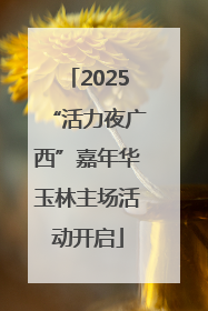 2025“活力夜广西”嘉年华玉林主场活动开启