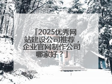 2025优秀网站建设公司推荐，企业官网制作公司哪家好？