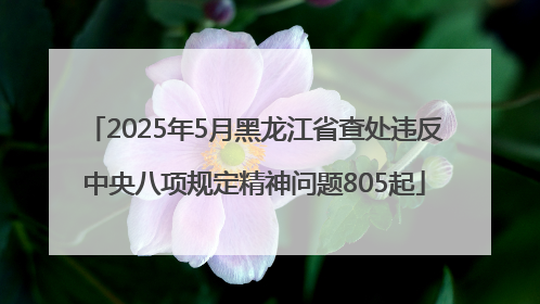 2025年5月黑龙江省查处违反中央八项规定精神问题805起
