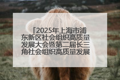 2025年上海市浦东新区社会组织高质量发展大会暨第二届长三角社会组织高质量发展峰会成功举办