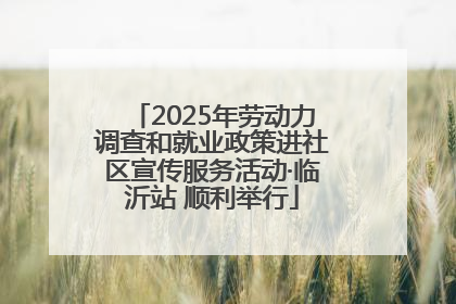 2025年劳动力调查和就业政策进社区宣传服务活动·临沂站 顺利举行