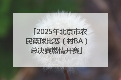 2025年北京市农民篮球比赛（村BA）总决赛燃情开赛