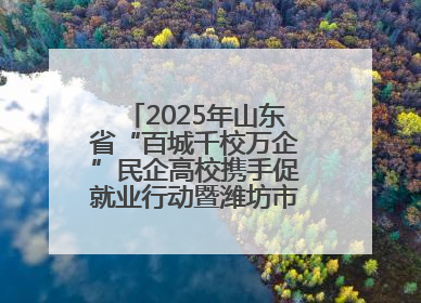 2025年山东省“百城千校万企”民企高校携手促就业行动暨潍坊市职教活动周启动