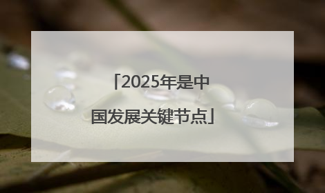 2025年是中国发展关键节点