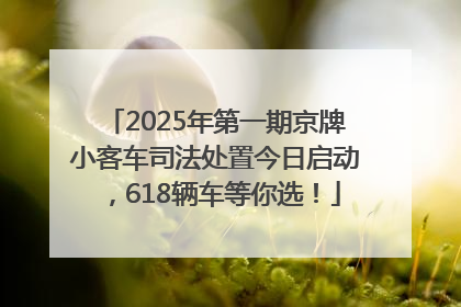 2025年第一期京牌小客车司法处置今日启动，618辆车等你选！