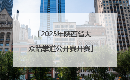 2025年陕西省大众跆拳道公开赛开赛