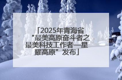 2025年青海省“最美高原奋斗者之最美科技工作者—星耀高原”发布