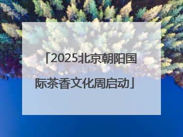 2025北京朝阳国际茶香文化周启动