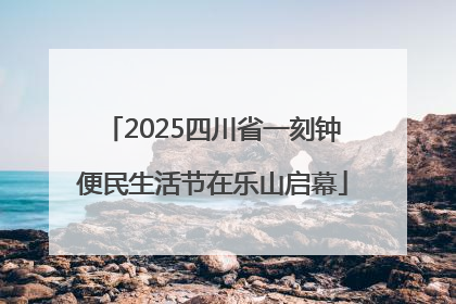 2025四川省一刻钟便民生活节在乐山启幕