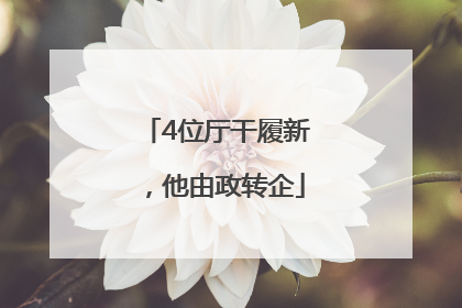4位厅干履新，他由政转企