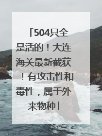 504只全是活的！大连海关最新截获！有攻击性和毒性，属于外来物种