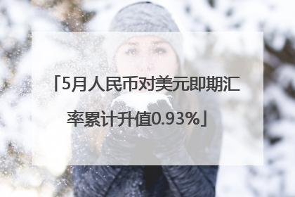 5月人民币对美元即期汇率累计升值0.93%