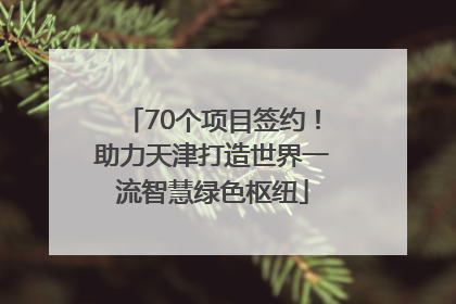 70个项目签约！助力天津打造世界一流智慧绿色枢纽