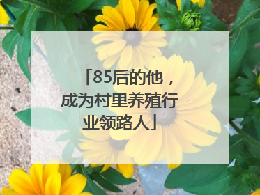 85后的他，成为村里养殖行业领路人