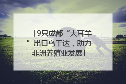 9只成都“大耳羊”出口乌干达，助力非洲养殖业发展