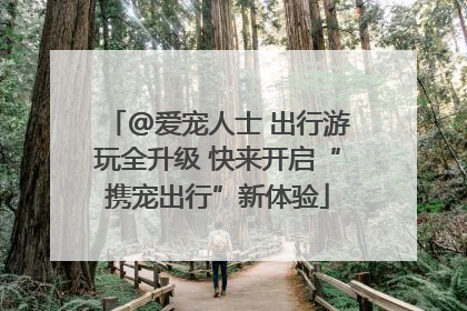 @爱宠人士 出行游玩全升级 快来开启“携宠出行”新体验
