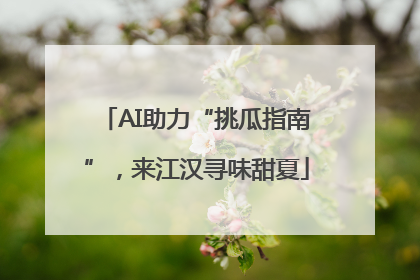 AI助力“挑瓜指南”，来江汉寻味甜夏
